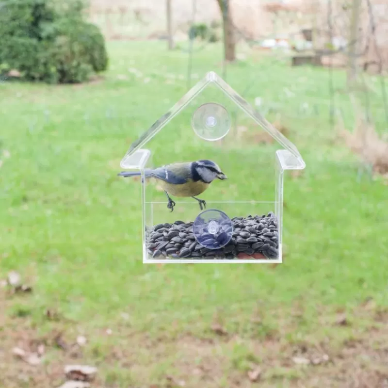 Esschert Design Alimentador De Ventana Acrilico - ^ Cajas Nido Y Comederos Para Animales