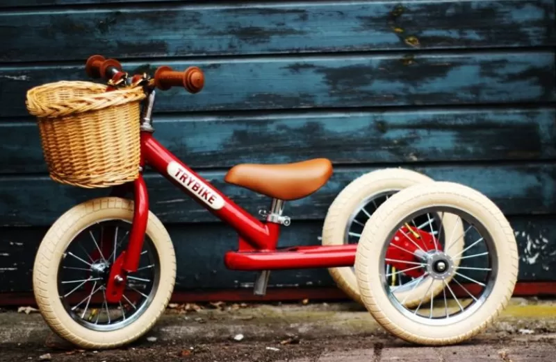 Trybike Cesta De La Bicicleta - ^ Draisiennes Y Bicicletas De Madera