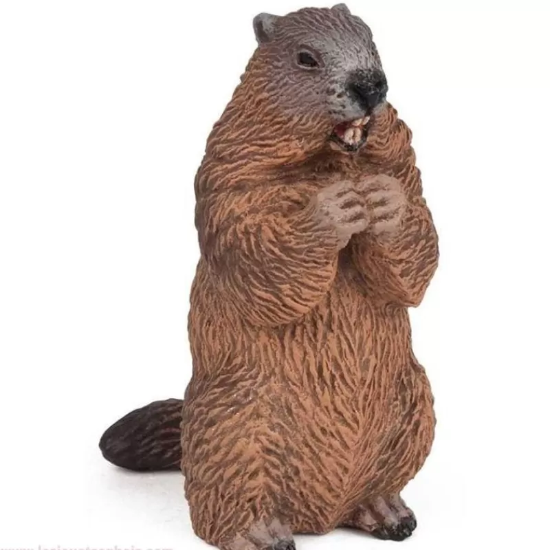 Papo Estatuilla De Marmota - ^ Animales Salvajes