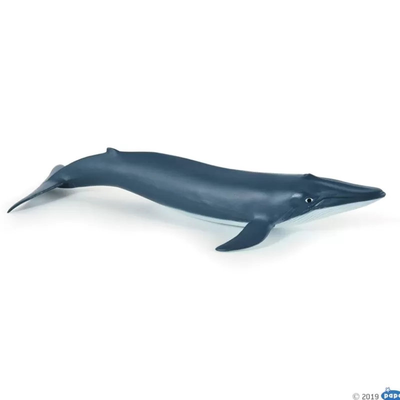 Papo Figura De Ballena Azul Bebe - ^ Animales Marinos