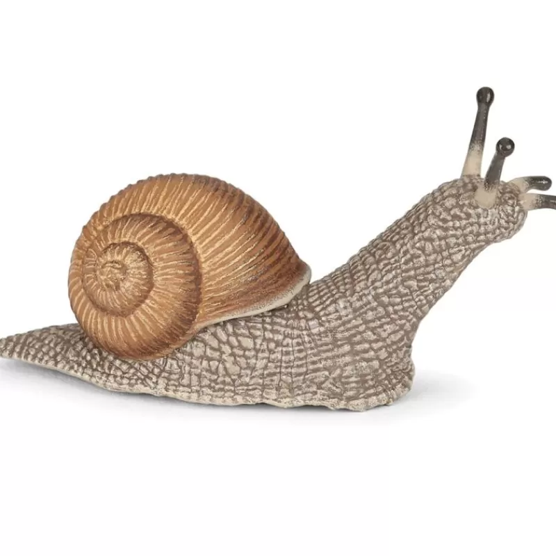 Papo Figura De Caracol - ^ Animales Salvajes