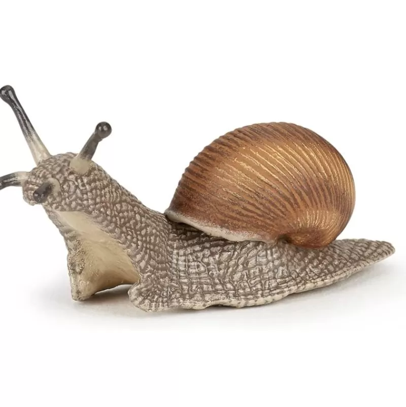 Papo Figura De Caracol - ^ Animales Salvajes