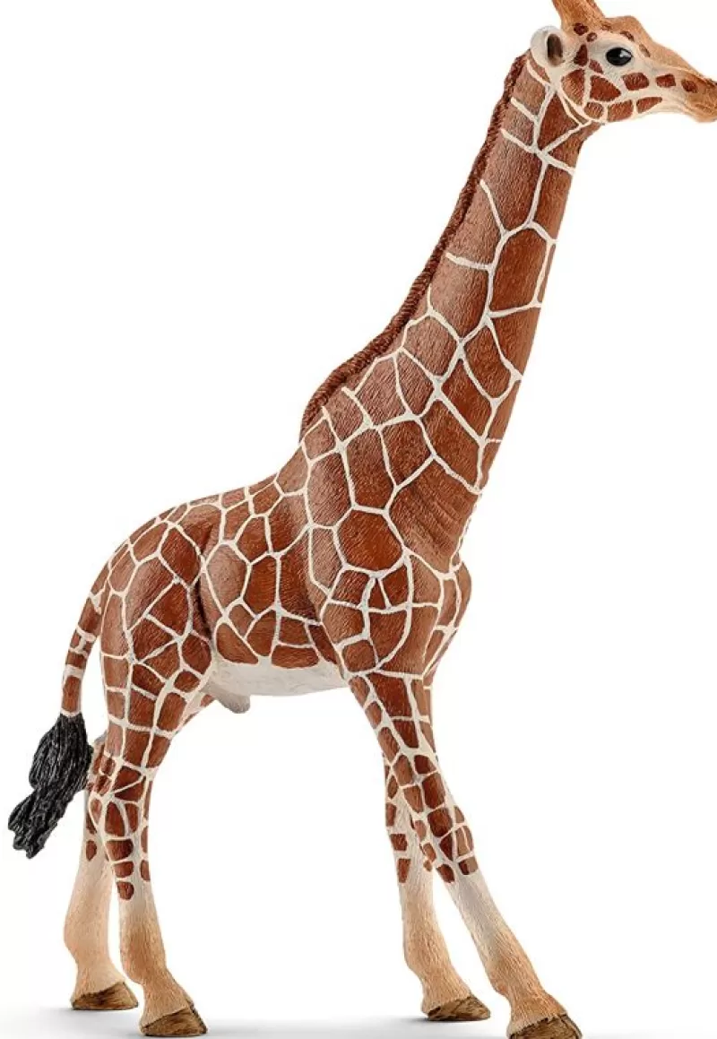 Schleich Figura De Jirafa Macho Marron ^ Animales Salvajes