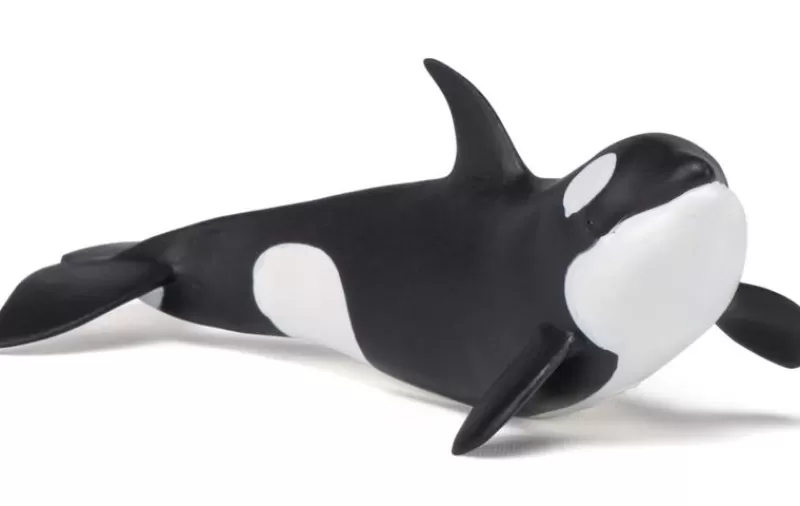 Papo Figura De Orca Bebe - ^ Animales Marinos