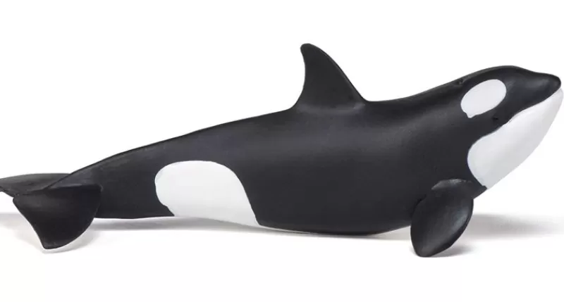 Papo Figura De Orca Bebe - ^ Animales Marinos