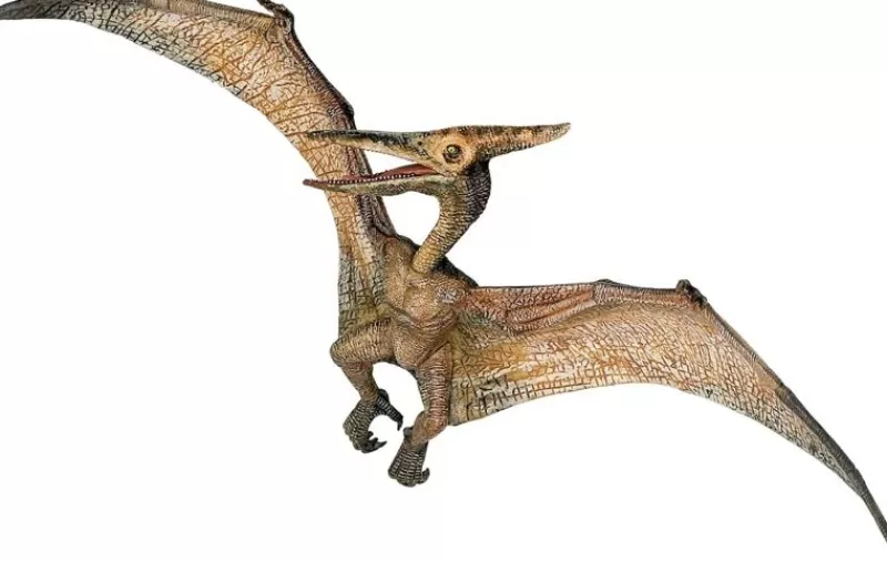 Papo Figura De Pteranodon - ^ Dinosaurios