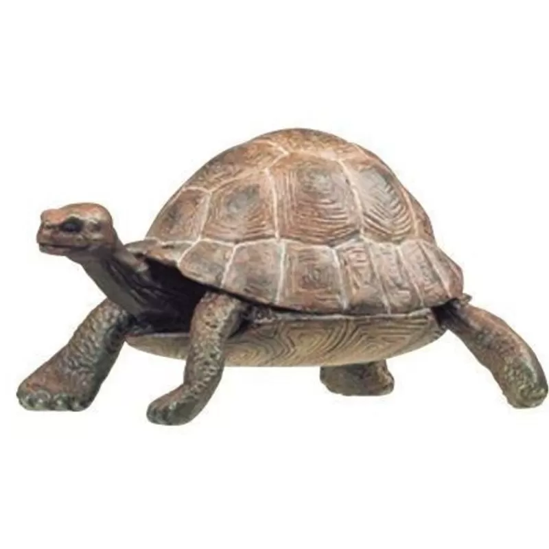 Papo Figura De Tortuga - ^ Animales Salvajes