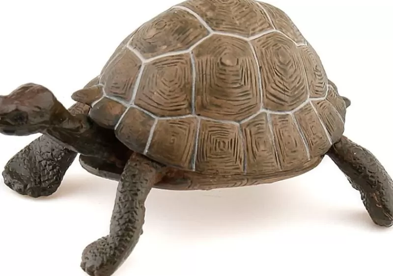 Papo Figura De Tortuga - ^ Animales Salvajes