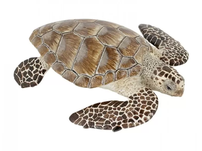 Papo Figura De Tortuga Boba - ^ Animales Marinos