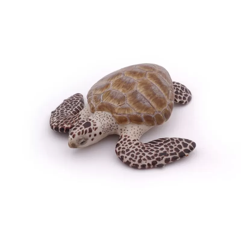 Papo Figura De Tortuga Boba - ^ Animales Marinos