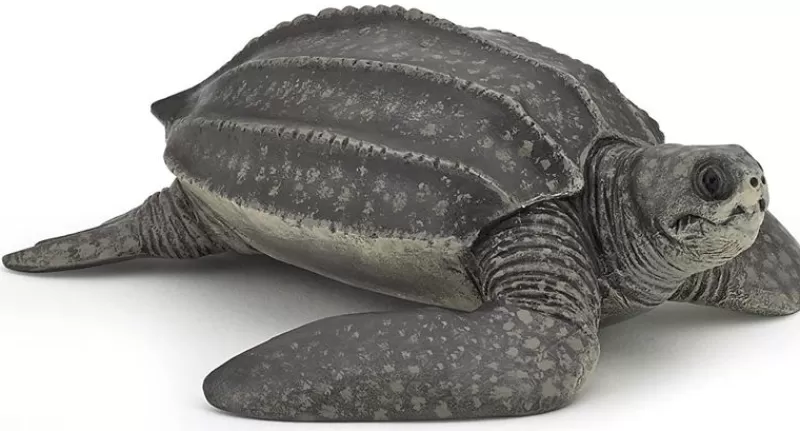 Papo Figura De Tortuga Laud - ^ Animales Marinos