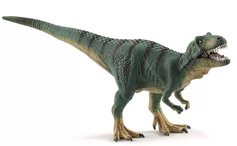 Schleich Joven Tiranosaurio Rex - ^ Dinosaurios