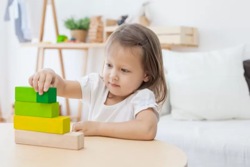 Plan Toys Pedir Bloques - ^ Juegos Montessori